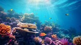 Fototapeta Do akwarium - Underwater panoramic view of coral reef and tropical fish.