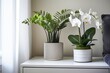 Lush Fern and Orchid Displays in Minimalist Bedroom with White Orchids on Wooden Nightstand