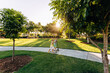 © IMAGE SUPPLY/Stocksy - Children playing on scooters in park