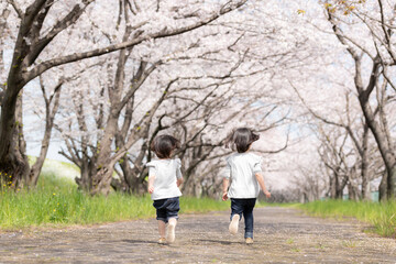 Canvas Print - 桜並木の公園で遊んでいる姉妹