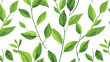 Plant green seamless pattern flat leaves on stem iso