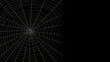 © Derby - The intricate pattern of a spider web symbolizes networking technology