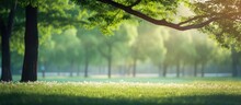 A Grassy Field With Several Trees In The Background, Creating A Green Bokeh Effect. The Scene Captures The Peaceful Coexistence Of Natures Elements In A Serene Setting.