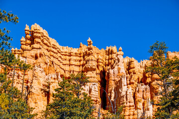 Wall Mural - Scenic views from Queens Garden Trail at Bryce Canyon National Park.