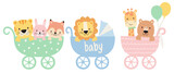 Fototapeta Dinusie - Cute baby animals in strollers vector illustration. Baby shower and nursery art of baby tiger, lion, fox, bear, giraffe, and bunny in baby carriage.