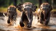 Baby elephants play in the puddle. It conveys cuteness. and purity