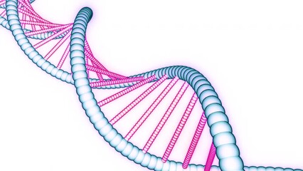 Poster - Beautiful animation of drawn dna. Design. Colorful simple animation of dna chain. Rotating stylish dna chain on white background for presentation