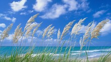 Coastal Grasses Swaying In The Gentle Breeze, Harmonizing With The Azure Sky And The Rhythmic Melody Of Waves On The Shore.
