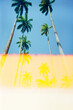 © Luciano Spinelli/Stocksy - Tropical landscape with palm trees and light leak with copy space
