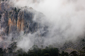 Mountains in the clouds. Aerial view of a mountain peak with green trees in the fog. Beautiful landscape with high cliffs, sky. Dedegol. Turkey.