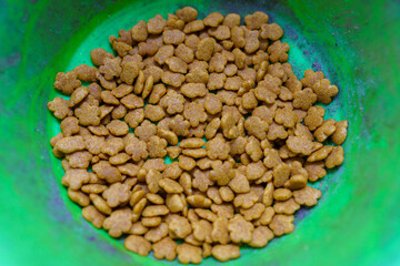 Dry pet food on green bowl.Dry food for cat.