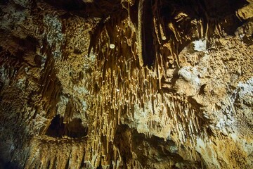 Wall Mural - A wild cave inside. Stalactites and stalagmites. Speleology and surveys