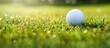 A golf ball sits on top of a vibrant, well-manicured green field, ready to be hit. The perfectly trimmed grass provides an ideal surface for the balls journey.