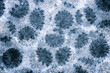 Abstract Blurred View of Coronavirus Outbreak Concept Background.