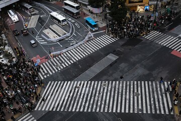 shibuya crossing