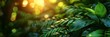 Closeup Nature View Green Leaf Palms, HD, Background Wallpaper, Desktop Wallpaper