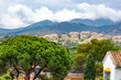 Rain clouds on the Pyrenees mountains and a beautiful landscape with blooming pine trees in Marbella. Spain