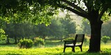 Fototapeta Krajobraz - A simple chair placed under a tree in a serene garden, with space for relaxation-themed text