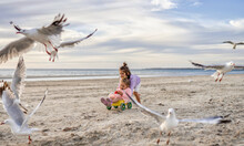 Kids Playing On The Beach With Seagulls