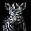 zebra, tier, black, weiß, band, dekor, haut, wild, säugetier, beschaffenheit, safari, wild lebende tiere, natur, fell, tierpark, gestreift, kopf, band, beeindruckend, horse, gesicht, detail, portrait,