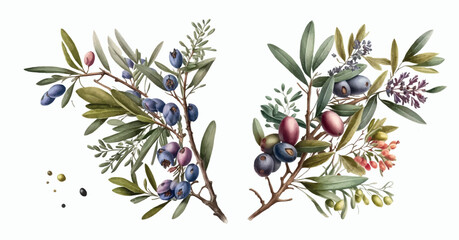 Poster - Detailed Vector Illustration of Green and Black Olives on Branches with Lush Leaves, Perfect for Health