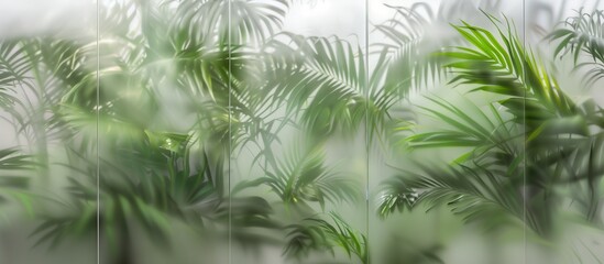 Tropical Tranquility: Silhouetted Greenery on Frosted Glass for Eco-Inspired Indoor Wallpaper and Backgrounds