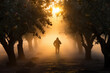 Farmer walking through a mist-covered orchard at dawn. Man having a walk between trees. Generative AI
