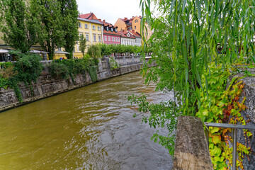 Wall Mural - Ljubljanica River with trees and quayside at the old town of City of Ljubljana on a cloudy summer day. Photo taken August 9th, 2023, Ljubljana, Slovenia.
