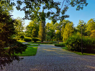 natural park in summer in the tourist town Wisla, Poland