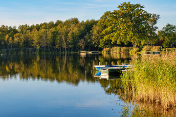 Wall Mural - Natural landscape of the lake, high definition, the movement of waves against the background of the autumn forest. The reflection of clouds on the ripples of water. Germany.