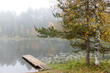 Autumn landscape in the early foggy morning on a beautiful lake with water lilies.