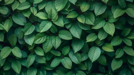 Canvas Print - green 3D leaves