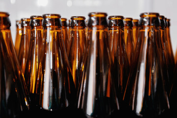 Wall Mural - Glass bottles of beer on dark background with sun light. Concept brewery plant production line.