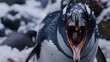 echoes of the wild: the compelling cry of a penguin