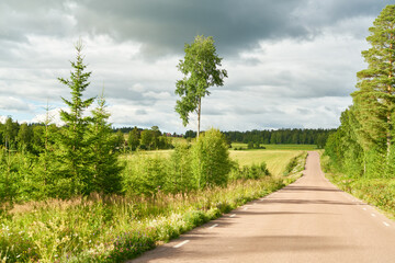 Wall Mural - Small country road in Sweden in summer
