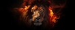 Lion king in fire, Portrait on black background, Wildlife animal.