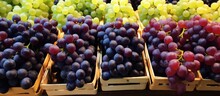 The Image Showcases A Large Quantity Of Grapes Neatly Arranged In Wooden Crates, Ready For Display Or Transportation. The Grapes Appear Fresh And Ripe, Filling Each Crate With Vibrant Colors And Plump