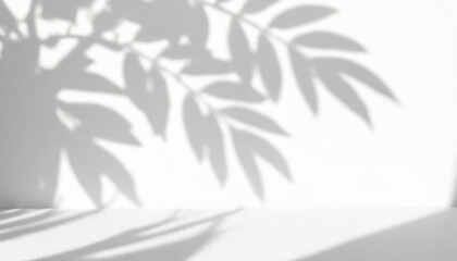 Wall Mural - abstract shadow of leaves on a white wall overlay effect for photo mock up product wall art design presentation