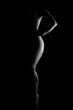 © Евген Кованько - female body silhouette black and white