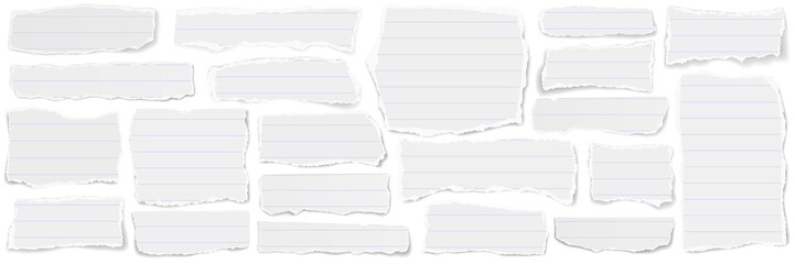 Wall Mural - Elongated collage of scraps of lined paper. 