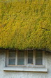 Thatched roof covered in moss