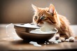 A cat lapping up milk from a bowl, capturing a moment of feline delight.
