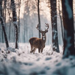 Hirsch im verschneiten Wald