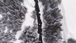 Verzauberte Winterwelten: Spektakuläre Drohnenaufnahmen von schneebedeckten Landschaften und eisigen Wundern.
