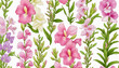 collection of soft pastel snapdragons flowers isolated on a transparent background