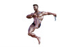 3d Illustration of Shirtless guy in blue panties showing his muscular body and hold twin dagger. Bodybuilder man.