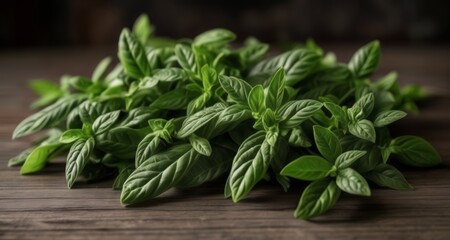 Canvas Print -  Fresh and vibrant basil leaves, ready to add flavor to your dishes