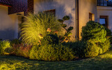 Fototapeta  - Night Time Illuminated Residential Backyard Garden