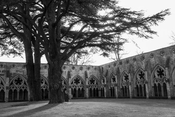 Wall Mural - cloisters at Salisbury Cathedral Wiltshire England in black  and white