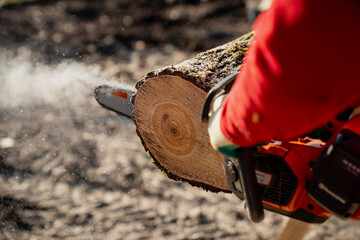 Motor electric powered chainsaw sawing lumber close up as sawdust fly all over